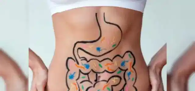 Akne Tedavisinde Bağırsak Florası