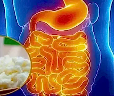 Otizm ve Bağırsak Florası