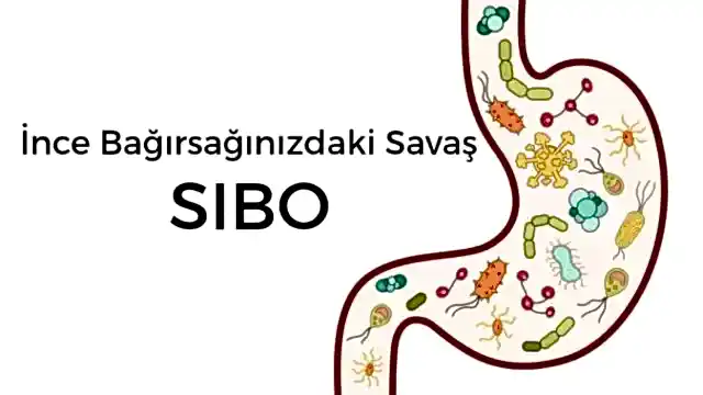 SIBO Nedir?