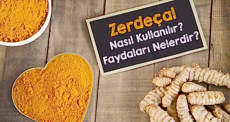 Zerdeçalın (Curcumin) Etkisini Keşfedin!